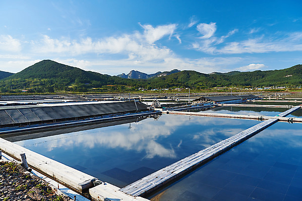 포토 JPG 주간 구름 하늘 산 풍경 사람없음 야외 관광지 반사 맑음 가을 곰소염전 방조제 부안 염전 국내포토 자연요소 계절 여행 날씨 전라북도 시설 파일형식