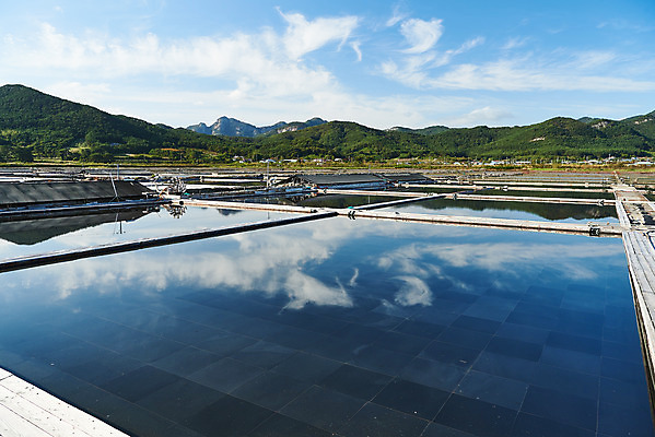 포토 JPG 주간 구름 하늘 산 풍경 사람없음 야외 관광지 반사 맑음 가을 곰소염전 방조제 부안 염전 국내포토 자연요소 계절 여행 날씨 전라북도 시설 파일형식