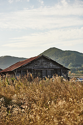포토 JPG 주간 구름 하늘 갈대 풍경 사람없음 야외 관광지 가을 창고 곰소염전 방조제 부안 염전 국내포토 자연요소 식물 계절 여행 전라북도 시설 파일형식