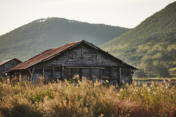 포토 JPG 주간 산 갈대 풍경 사람없음 야외 관광지 가을 창고 곰소염전 방조제 부안 염전 국내포토 자연요소 식물 계절 여행 전라북도 시설 파일형식