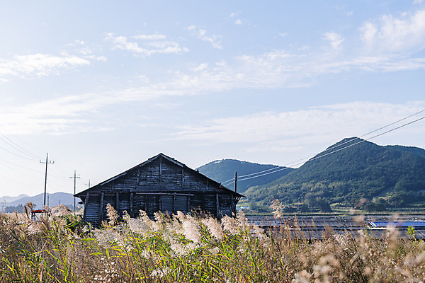 포토 JPG 주간 구름 하늘 갈대 풍경 사람없음 야외 관광지 맑음 가을 창고 곰소염전 방조제 부안 염전 국내포토 자연요소 식물 계절 여행 날씨 전라북도 시설 파일형식