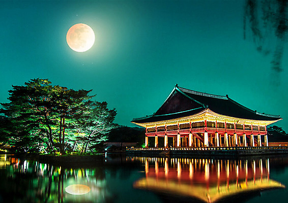 PSD 나무 편집이미지 호수 고건축 야경 자연 한옥 사람없음 궁전 달 달빛 경복궁 청록색 경회루 이미지편집 자연요소 식물 한국전통 건축물 컬러 한국 야간 생태계 파일형식 풍경_경치