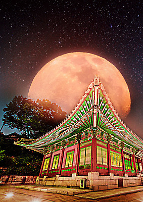 PSD 나무 편집이미지 별 고건축 야경 자연 밤하늘 한옥 사람없음 컬러풀 궁전 달 야간 달빛 이미지편집 자연요소 식물 한국전통 건축물 컬러 하늘 생태계 파일형식 풍경_경치