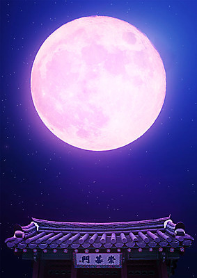 PSD 편집이미지 별 고건축 야경 자연 한옥 사람없음 보라색 달 달빛 기와지붕 이미지편집 자연요소 한국전통 건축물 컬러 지붕 기와 야간 생태계 파일형식 풍경_경치