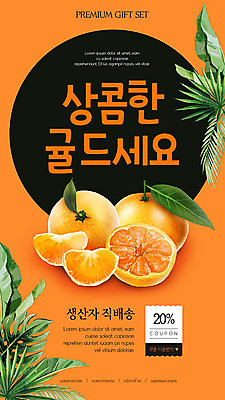 PSD 템플릿 배너 ZIP 웹템플릿 겨울 과일 디자인시안 모바일 귤 이벤트페이지 이벤트 사람없음 컬러풀 홈페이지 세일 홈페이지시안 쿠폰 모바일템플릿 모바일웹 상큼 비타민 소셜네트워크 모바일앱 모바일페이지 이미지템플릿 계절 컬러 페이지 영양소 파일형식