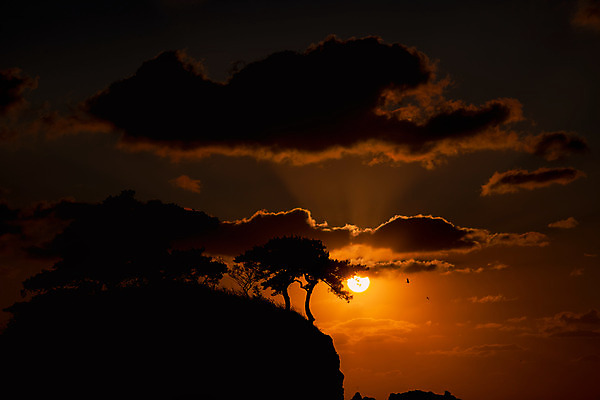 포토 JPG 나무 구름 바다 여행 자연 하늘 한국 풍경 사람없음 야외 관광지 태양 노을 일몰 가을 가을여행 변산반도 부안 솔섬 국내포토 자연요소 식물 계절 아시아 섬 전라북도 생태계 파일형식 가을_계절