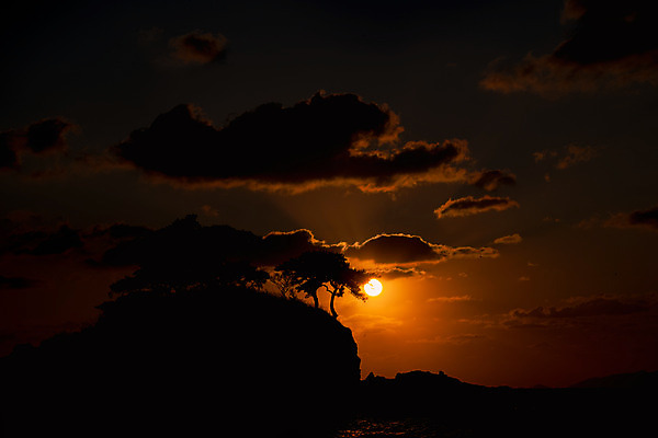 포토 JPG 나무 구름 바다 여행 자연 하늘 한국 풍경 사람없음 야외 관광지 태양 노을 일몰 가을 가을여행 변산반도 부안 솔섬 국내포토 자연요소 식물 계절 아시아 섬 전라북도 생태계 파일형식 가을_계절