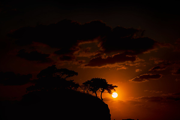 포토 JPG 나무 구름 바다 여행 자연 하늘 한국 풍경 사람없음 야외 관광지 태양 노을 일몰 가을 가을여행 변산반도 부안 솔섬 국내포토 자연요소 식물 계절 아시아 섬 전라북도 생태계 파일형식 가을_계절
