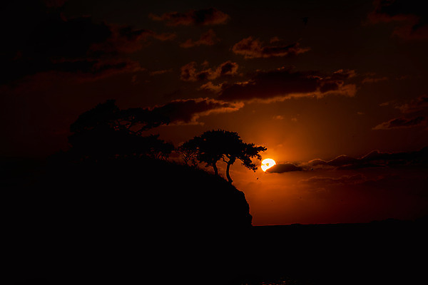 포토 JPG 나무 구름 바다 여행 자연 하늘 한국 풍경 사람없음 야외 관광지 태양 노을 일몰 가을 가을여행 변산반도 부안 솔섬 국내포토 자연요소 식물 계절 아시아 섬 전라북도 생태계 파일형식 가을_계절