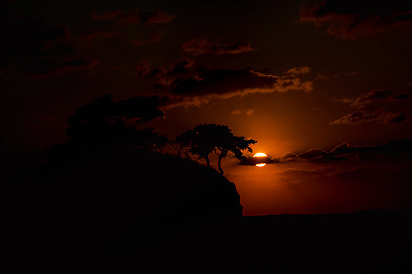 포토 JPG 나무 구름 바다 여행 자연 하늘 한국 풍경 사람없음 야외 관광지 태양 노을 일몰 가을 가을여행 변산반도 부안 솔섬 국내포토 자연요소 식물 계절 아시아 섬 전라북도 생태계 파일형식 가을_계절