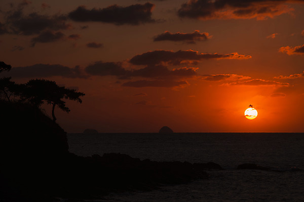 포토 JPG 나무 구름 바다 여행 자연 하늘 한국 풍경 사람없음 야외 관광지 태양 노을 일몰 가을 가을여행 변산반도 부안 솔섬 국내포토 자연요소 식물 계절 아시아 섬 전라북도 생태계 파일형식 가을_계절