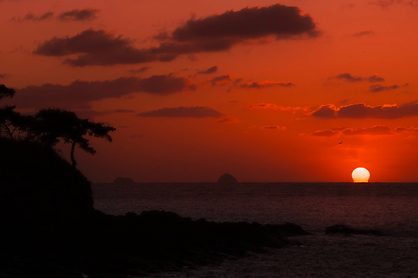 포토 JPG 나무 구름 바다 여행 자연 하늘 한국 풍경 사람없음 야외 관광지 태양 노을 일몰 가을 가을여행 변산반도 부안 솔섬 국내포토 자연요소 식물 계절 아시아 섬 전라북도 생태계 파일형식 가을_계절