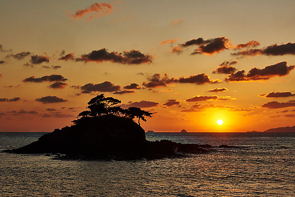 포토 JPG 나무 구름 바다 여행 자연 하늘 한국 풍경 사람없음 야외 관광지 태양 노을 일몰 가을 가을여행 변산반도 부안 솔섬 국내포토 자연요소 식물 계절 아시아 섬 전라북도 생태계 파일형식 가을_계절