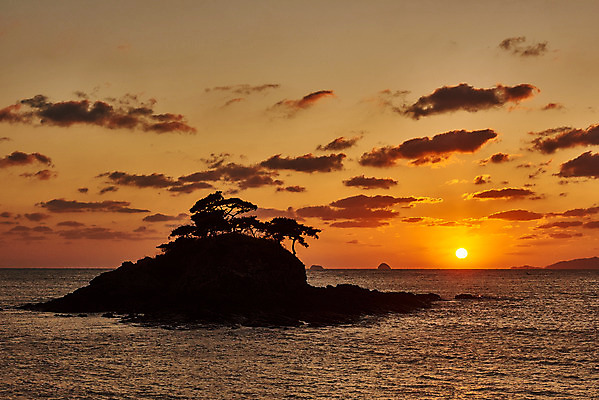포토 JPG 나무 구름 바다 여행 자연 하늘 한국 풍경 사람없음 야외 관광지 태양 노을 일몰 가을 가을여행 변산반도 부안 솔섬 국내포토 자연요소 식물 계절 아시아 섬 전라북도 생태계 파일형식 가을_계절
