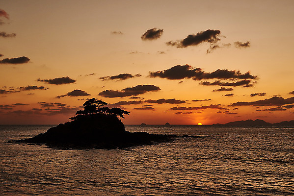 포토 JPG 나무 구름 바다 여행 자연 하늘 한국 풍경 사람없음 야외 관광지 태양 노을 일몰 가을 가을여행 변산반도 부안 솔섬 국내포토 자연요소 식물 계절 아시아 섬 전라북도 생태계 파일형식 가을_계절