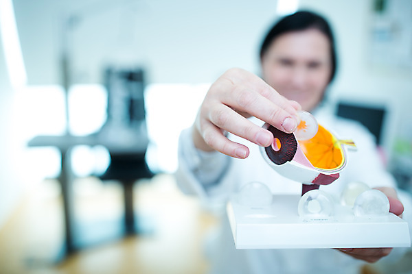 포토 JPG 서양인 외국인 응시 여자 중년 50대 실내 병원 설명 한명 미소 들기 사람 앉기 상반신 성인 앞모습 아웃포커스 모형 체코 안과 안과의사 안구모형 안구 중년여자한명만 국내포토 1 시선 유럽 뷰포인트 의학 모션 촬영기법 표정 인종 내부 신체부위 의사 여자한명만 중년여자만 파일형식