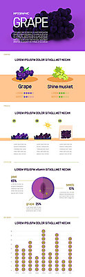 일러스트 포도 그래프 사람없음 보라색 인포그래픽 정보 청포도 망고포도 국내일러스트 AI파일 컬러 과일 파일형식 벡터
