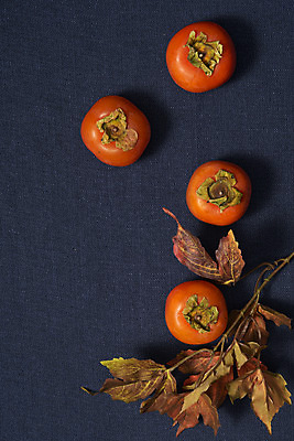 포토 JPG 스튜디오촬영 잎 자연 실내 누끼 사람없음 농작물 하이앵글 여러개 가을 신선 달콤 오브젝트 유기농 비타민 홍시 플랫레이 슈퍼푸드 남색배경 국내포토 식물 웰빙 계절 뷰포인트 다수 백그라운드 농업 감 내부 플랫 맛 남색 생태계 건강식품 영양소 파일형식