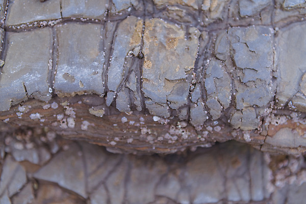 포토 JPG 주간 바다 풍경 근접촬영 사람없음 야외 관광지 가을 명승지 변산반도 부안 해식절벽 국내포토 자연요소 계절 뷰포인트 여행 절벽 전라북도 파일형식