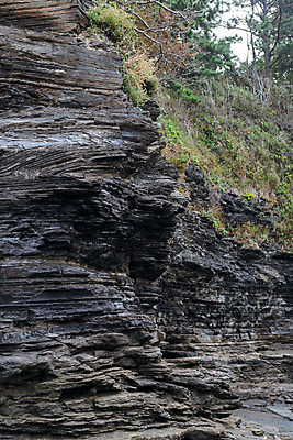 포토 JPG 주간 바다 풍경 사람없음 야외 관광지 가을 명승지 변산반도 부안 해식절벽 국내포토 자연요소 계절 여행 절벽 전라북도 파일형식