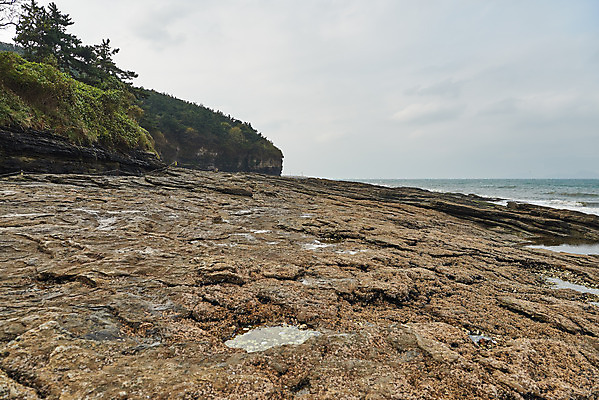 포토 JPG 주간 나무 바다 풍경 사람없음 야외 관광지 가을 바위 명승지 변산반도 부안 해식절벽 국내포토 자연요소 식물 계절 여행 절벽 돌_바위 전라북도 파일형식