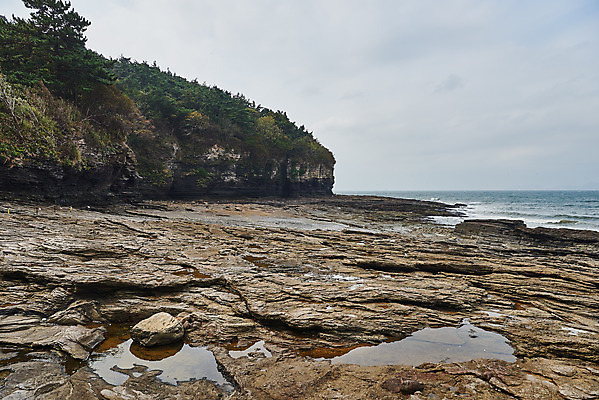 포토 JPG 주간 나무 바다 풍경 사람없음 야외 관광지 가을 바위 명승지 변산반도 부안 해식절벽 국내포토 자연요소 식물 계절 여행 절벽 돌_바위 전라북도 파일형식