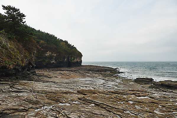 포토 JPG 주간 나무 바다 풍경 사람없음 야외 관광지 가을 바위 명승지 변산반도 부안 해식절벽 국내포토 자연요소 식물 계절 여행 절벽 돌_바위 전라북도 파일형식