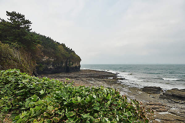 포토 JPG 주간 나무 식물 바다 풍경 사람없음 야외 관광지 가을 바위 명승지 변산반도 부안 해식절벽 국내포토 자연요소 계절 여행 절벽 돌_바위 전라북도 파일형식
