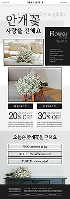 PSD ZIP 꽃다발 웹템플릿 사랑 사람없음 세일 회색 전달 쿠폰 안개꽃 뉴스레터 이미지템플릿 템플릿 꽃 감정 컬러 한해살이풀 파일형식