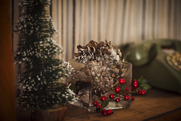 포토 JPG 열매 크리스마스 겨울 크리스마스용품 휴식 실내 사람없음 아웃포커스 크리스마스트리 전화기 오브젝트 솔방울 설레임 국내포토 식물 계절 기념일 감정 컨셉 촬영기법 내부 용품 파일형식