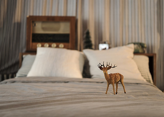 포토 JPG 크리스마스 겨울 베개 크리스마스용품 휴식 실내 사람없음 루돌프 침대 오브젝트 설레임 국내포토 계절 기념일 감정 가구 컨셉 침구 사슴 내부 용품 파일형식