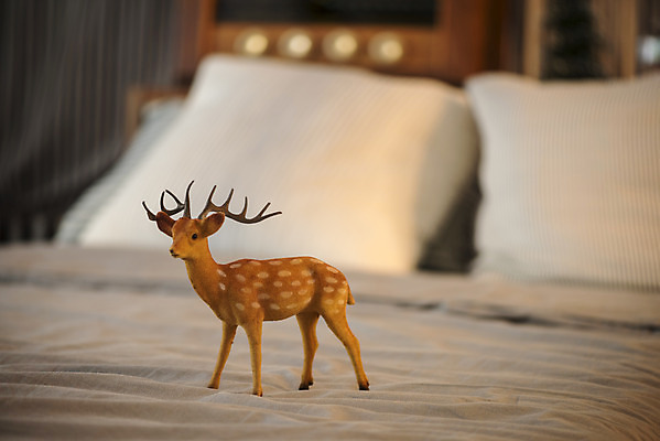 포토 JPG 크리스마스 겨울 베개 크리스마스용품 휴식 실내 사람없음 루돌프 침대 오브젝트 설레임 국내포토 계절 기념일 감정 가구 컨셉 침구 사슴 내부 용품 파일형식