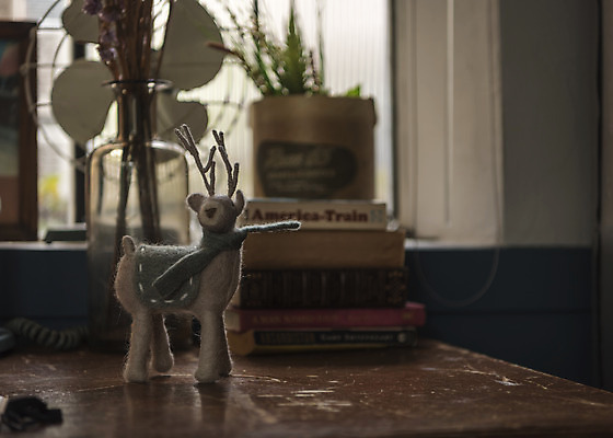 포토 JPG 화분 크리스마스 겨울 크리스마스용품 사슴 휴식 실내 사람없음 아웃포커스 루돌프 오브젝트 설레임 국내포토 계절 기념일 감정 컨셉 포유류 촬영기법 내부 용품 파일형식