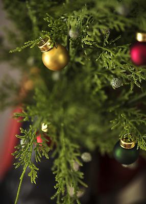 포토 JPG 잎 크리스마스 겨울 크리스마스용품 휴식 실내 근접촬영 사람없음 아웃포커스 장식볼 오브젝트 설레임 국내포토 식물 계절 기념일 감정 뷰포인트 컨셉 촬영기법 내부 장식 용품 파일형식