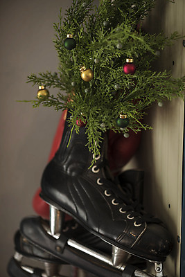 포토 JPG 잎 크리스마스 겨울 크리스마스용품 휴식 실내 사람없음 장식볼 스케이트 캐비닛 오브젝트 설레임 국내포토 식물 계절 기념일 감정 스포츠용품 컨셉 내부 장식 사물함 용품 파일형식