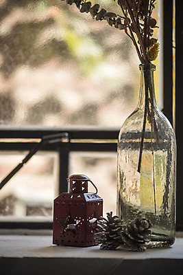 포토 JPG 꽃 크리스마스 겨울 크리스마스용품 휴식 실내 사람없음 꽃병 램프 창가 오브젝트 솔방울 설레임 국내포토 식물 계절 기념일 감정 컨셉 창문 조명 내부 용품 파일형식