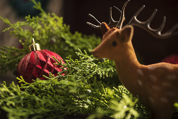 포토 JPG 크리스마스 겨울 크리스마스용품 사슴 휴식 실내 근접촬영 사람없음 아웃포커스 장식볼 오브젝트 설레임 국내포토 계절 기념일 감정 뷰포인트 컨셉 포유류 촬영기법 내부 장식 용품 파일형식