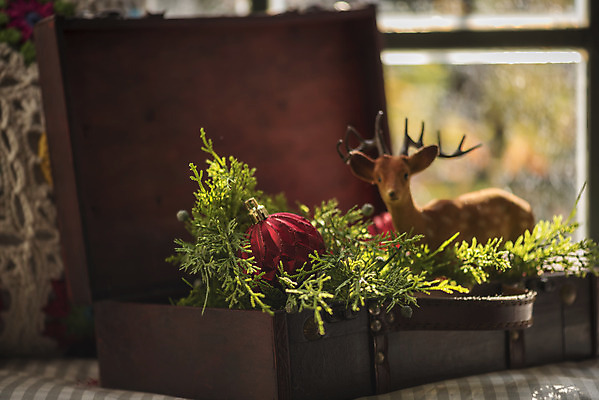 포토 JPG 식물 잎 크리스마스 겨울 크리스마스용품 사슴 휴식 실내 사람없음 장식볼 루돌프 오브젝트 설레임 국내포토 계절 기념일 감정 컨셉 포유류 내부 장식 용품 파일형식