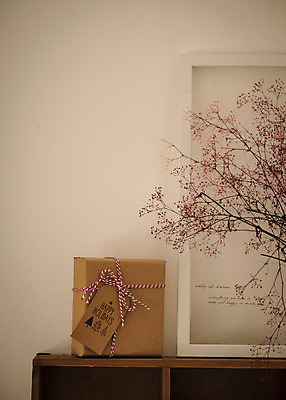 포토 JPG 나무 식물 액자 크리스마스 겨울 크리스마스용품 휴식 실내 사람없음 선물상자 오브젝트 설레임 국내포토 계절 기념일 감정 컨셉 선물 내부 상자 용품 파일형식