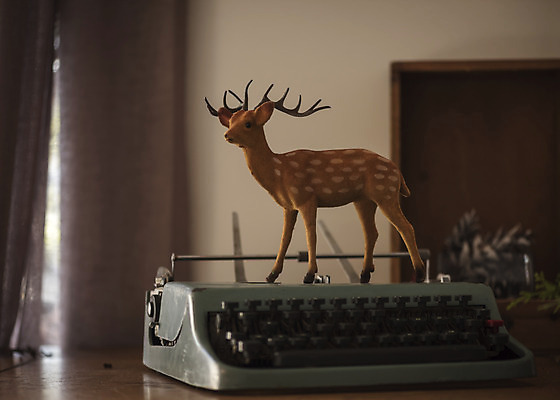 포토 JPG 크리스마스 겨울 크리스마스용품 사슴 휴식 실내 사람없음 루돌프 오브젝트 타자기 설레임 국내포토 계절 기념일 감정 컨셉 포유류 내부 골동품 용품 파일형식