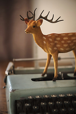 포토 JPG 크리스마스 겨울 크리스마스용품 사슴 휴식 실내 사람없음 루돌프 오브젝트 타자기 설레임 국내포토 계절 기념일 감정 컨셉 포유류 내부 골동품 용품 파일형식
