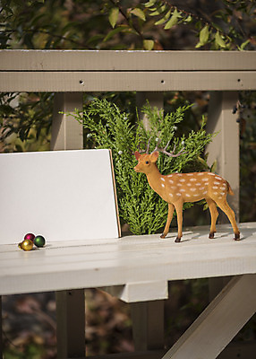 포토 JPG 주간 식물 크리스마스 겨울 벤치 크리스마스용품 사슴 휴식 프레임 사람없음 야외 장식볼 루돌프 스케치북 오브젝트 설레임 국내포토 자연요소 계절 기념일 감정 컨셉 의자 포유류 학용품 장식 용품 파일형식