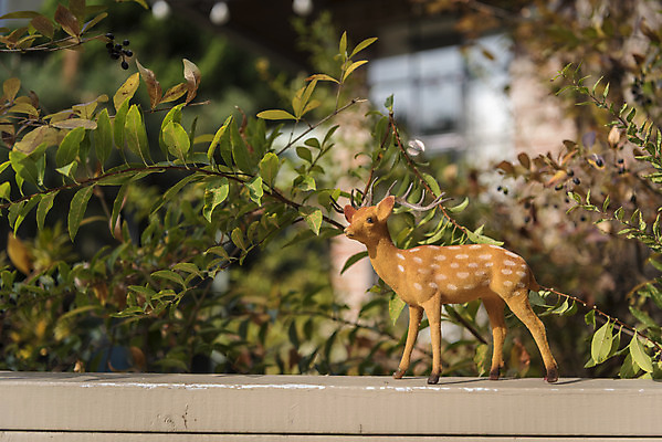 포토 JPG 주간 식물 크리스마스 겨울 벤치 크리스마스용품 사슴 휴식 사람없음 야외 루돌프 오브젝트 설레임 국내포토 자연요소 계절 기념일 감정 컨셉 의자 포유류 용품 파일형식