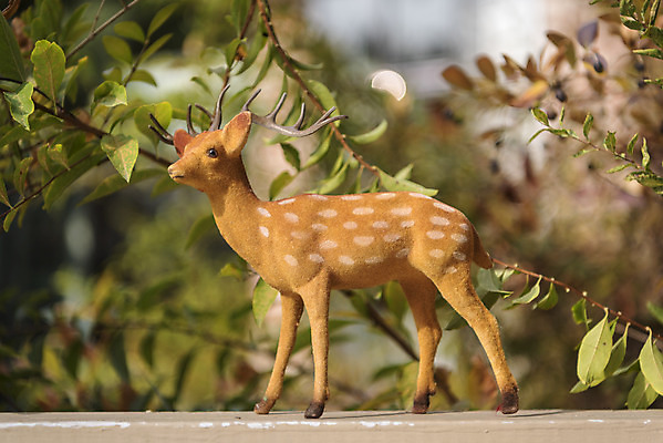 포토 JPG 주간 식물 크리스마스 겨울 벤치 크리스마스용품 사슴 휴식 사람없음 야외 루돌프 오브젝트 설레임 국내포토 자연요소 계절 기념일 감정 컨셉 의자 포유류 용품 파일형식