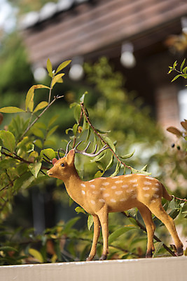 포토 JPG 주간 식물 크리스마스 겨울 벤치 크리스마스용품 사슴 휴식 사람없음 야외 루돌프 오브젝트 설레임 국내포토 자연요소 계절 기념일 감정 컨셉 의자 포유류 용품 파일형식
