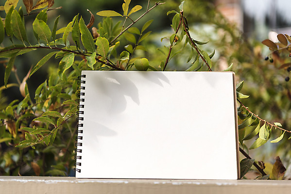 포토 JPG 주간 식물 크리스마스 겨울 벤치 크리스마스용품 휴식 프레임 사람없음 야외 장식볼 스케치북 오브젝트 설레임 국내포토 자연요소 계절 기념일 감정 컨셉 의자 학용품 장식 용품 파일형식