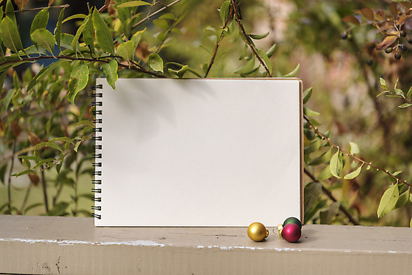 포토 JPG 주간 식물 크리스마스 겨울 벤치 크리스마스용품 휴식 프레임 사람없음 야외 장식볼 스케치북 오브젝트 설레임 국내포토 자연요소 계절 기념일 감정 컨셉 의자 학용품 장식 용품 파일형식