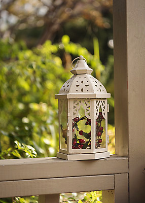 포토 JPG 주간 열매 크리스마스 겨울 크리스마스용품 휴식 사람없음 야외 램프 오브젝트 창틀 설레임 국내포토 자연요소 식물 계절 기념일 감정 컨셉 창문 조명 용품 파일형식