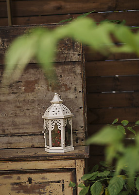 포토 JPG 주간 열매 크리스마스 겨울 의자 크리스마스용품 휴식 사람없음 야외 아웃포커스 램프 오브젝트 설레임 국내포토 자연요소 식물 계절 기념일 감정 가구 컨셉 조명 촬영기법 용품 파일형식