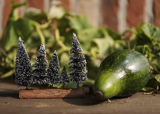 포토 JPG 주간 크리스마스 겨울 호박 크리스마스용품 휴식 사람없음 야외 아웃포커스 덩굴 오브젝트 서랍장 솔방울 설레임 미니트리 국내포토 자연요소 식물 계절 기념일 감정 가구 컨셉 채소 촬영기법 크리스마스트리 용품 파일형식